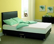 PVC Leather Bed
